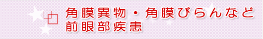 飛蚊症など眼底疾患は 堺市の眼科 「皮ふ科 眼科 くめクリニック」