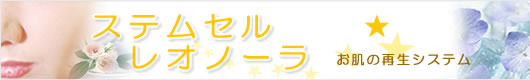 Q-スイッチルビーレーザー